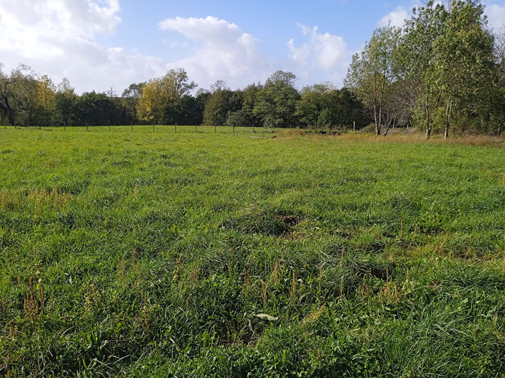 Vente Terrain A VENDRE TERRAIN A BATIR VIABILISE DE 997 M2 - VAL-DE-LIVENNE Saint aubin de blaye