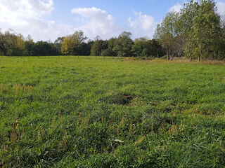  Terrain à vendre 997 m²