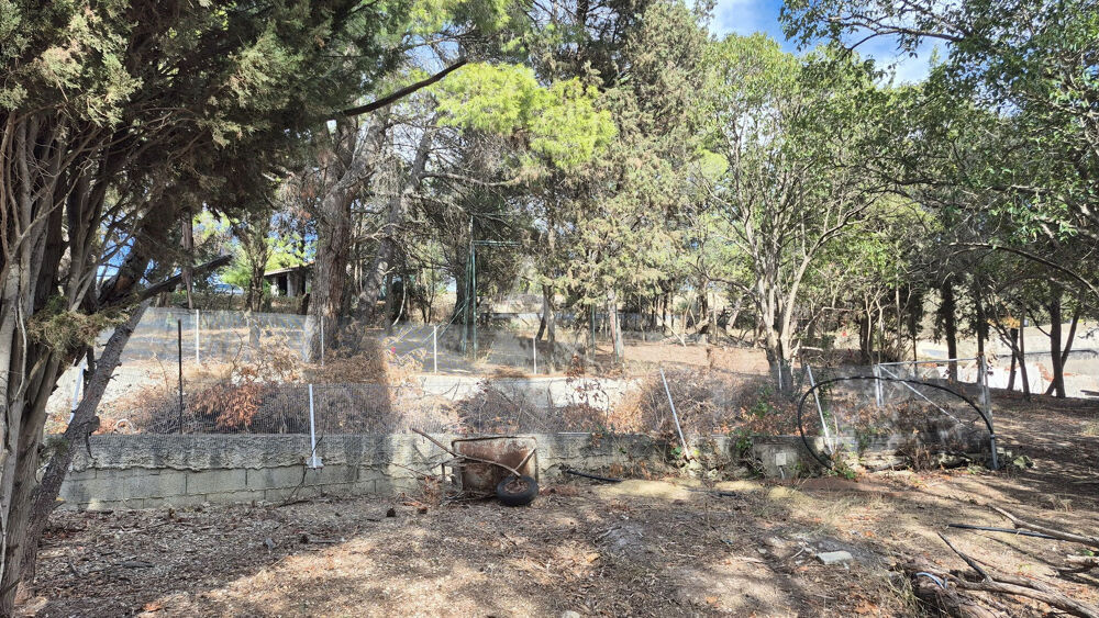 Vente Terrain Terrain Ouveillan 737 m2 arboré et vue agréable Ouveillan