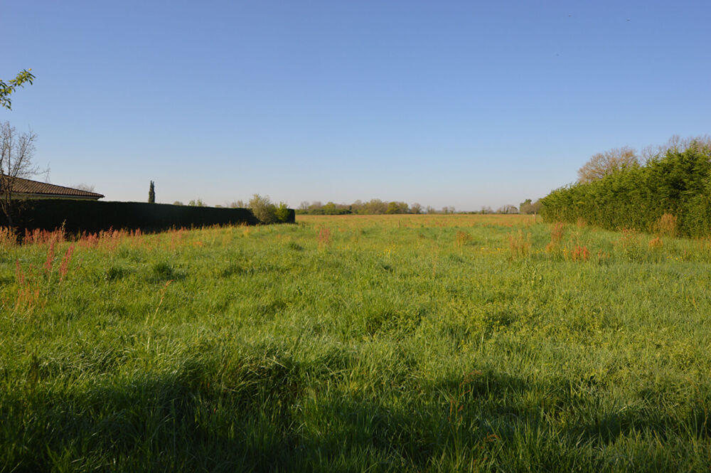 Vente Terrain LOT de 3 Terrains à Bâtir entre Montauban et Castelsarassin Castelsarrasin