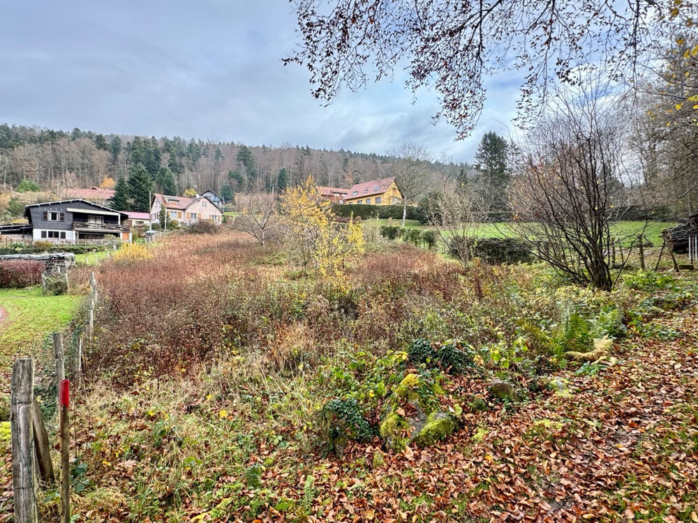 Vente Terrain Solbach - terrain de 21,36 ares Solbach