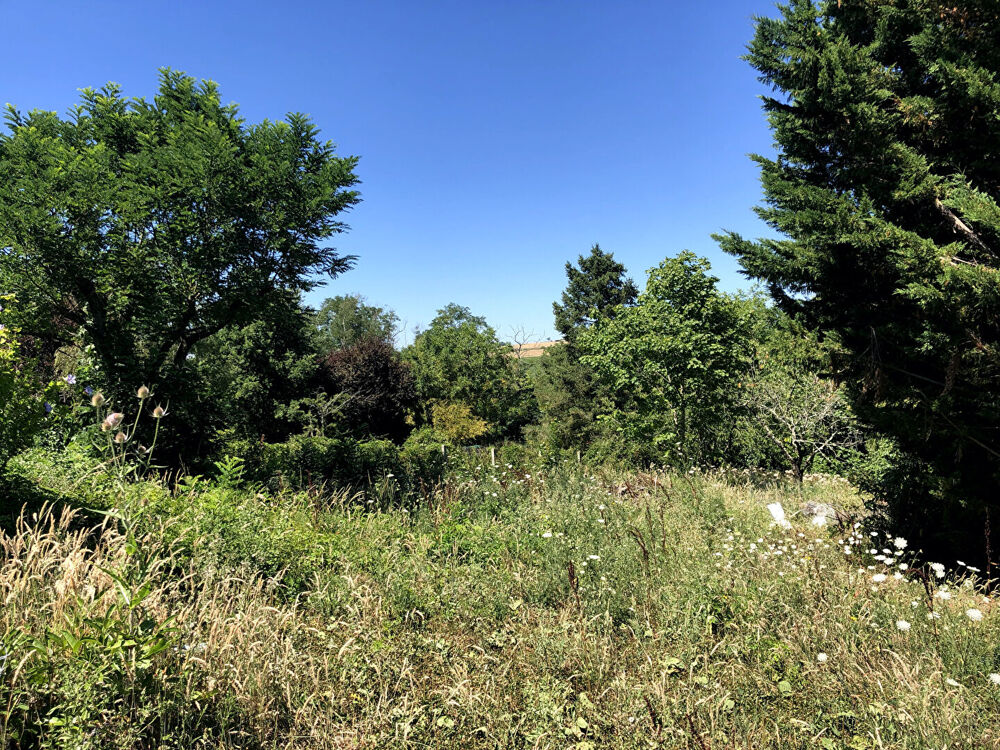 Vente Terrain Terrain à bâtir de 1371m2 Auterive