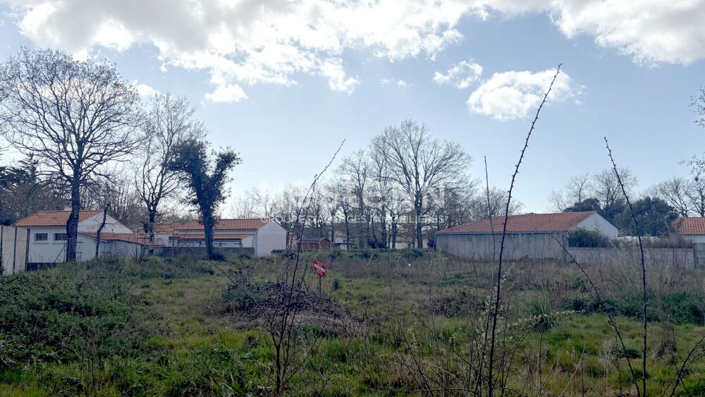 Vente Terrain Beau terrain de plus 2500m² - Libre de Constructeur ! Saint hilaire de riez