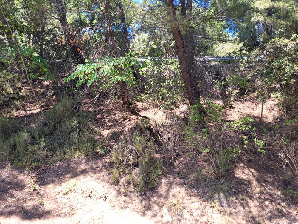 Vente Terrain Terrain Peyruis Zonage U 1073 m2 fort dénivelé pour loisirs ou projets. Peyruis