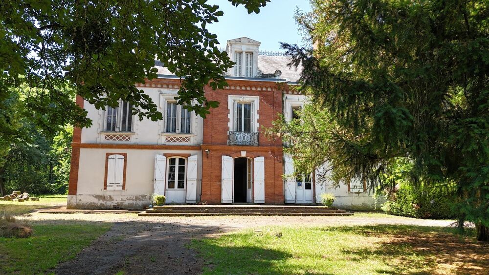 Vente Villa Château de caractère avec orangerie & potentiel évènementiel - Saint-Nauphary, à 10 min de Montauban et 50 min de Toulouse Saint nauphary