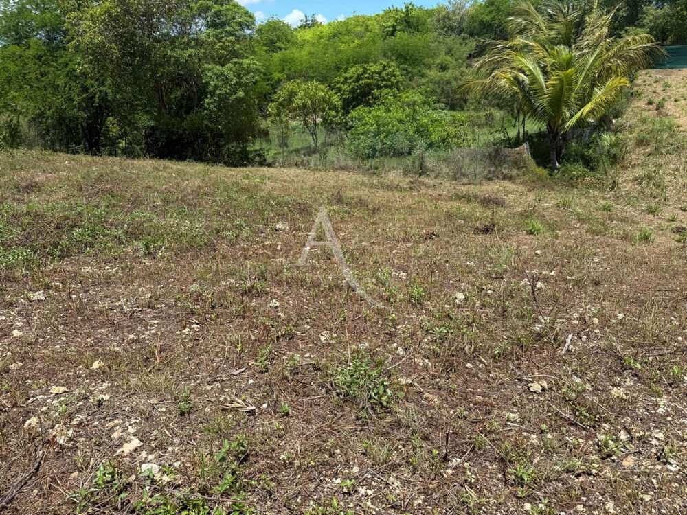 Vente Terrain 779 m² - Vue 4
