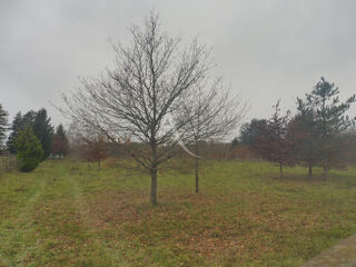  Terrain  vendre 2993 m