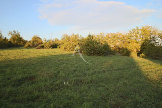 Terrain à vendre 9856 m²
