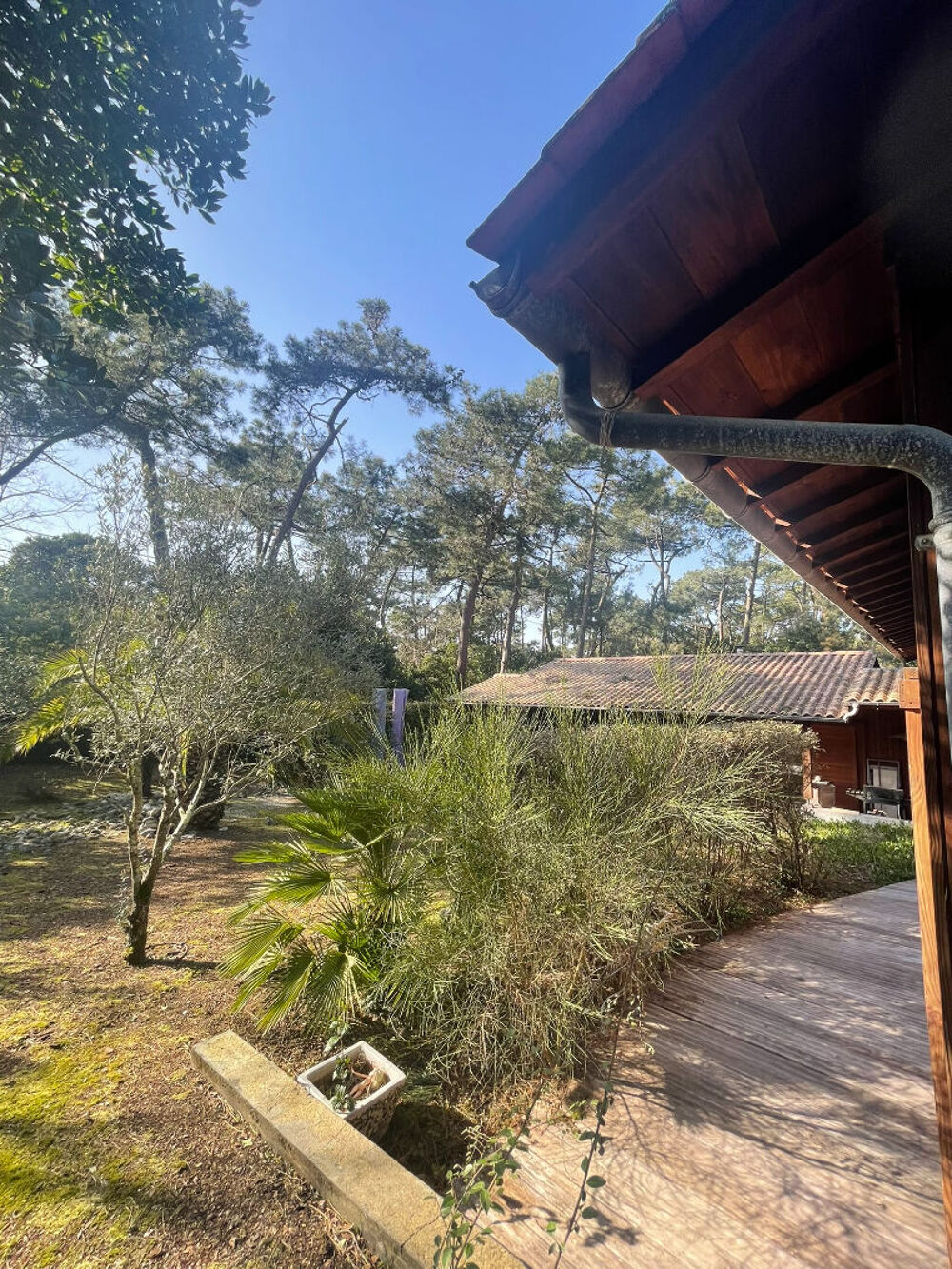 � vendre  Maison L�ge-Cap-Ferret (33950)