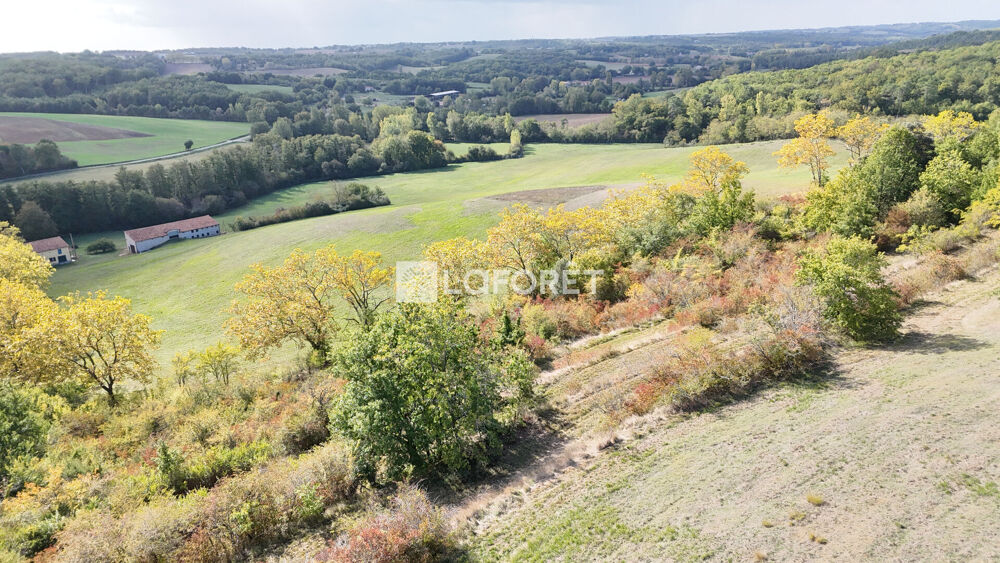 Vente Maison Propriété de 116 hectares !!!  20 minutes Est de Montauban Montauban