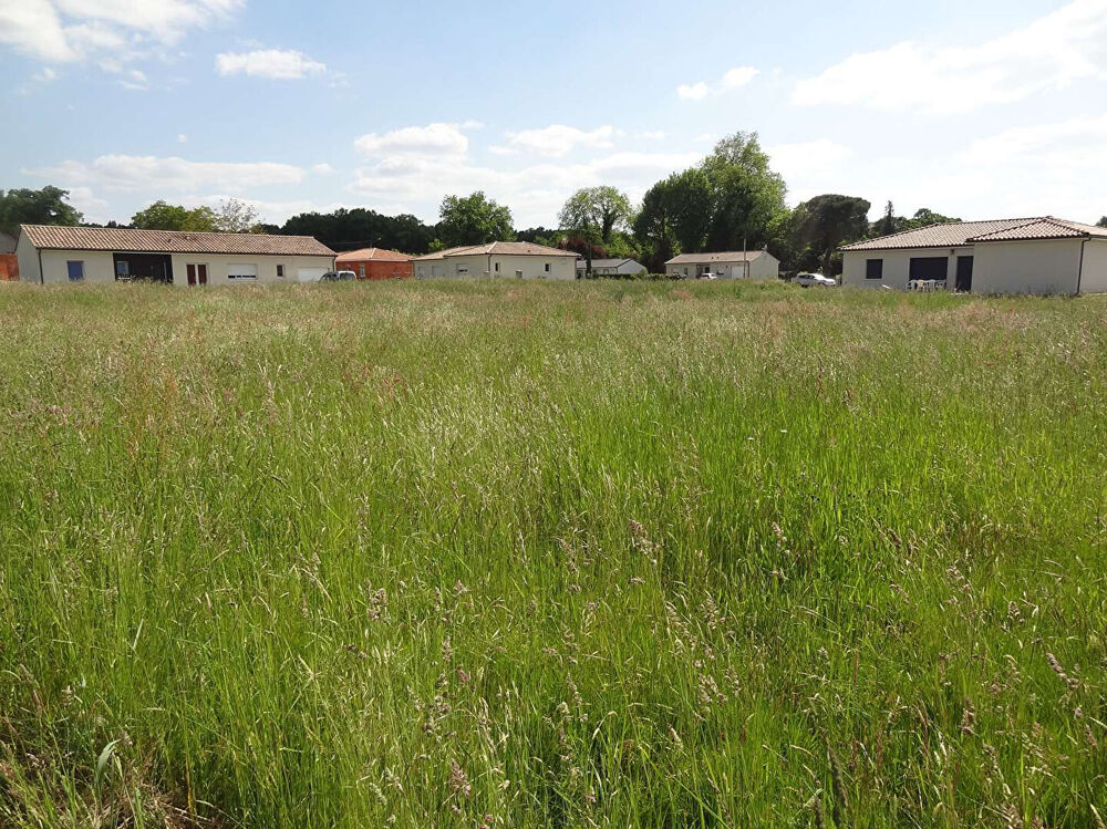 Vente Terrain Terrain Neuvic 1674 m2 Neuvic