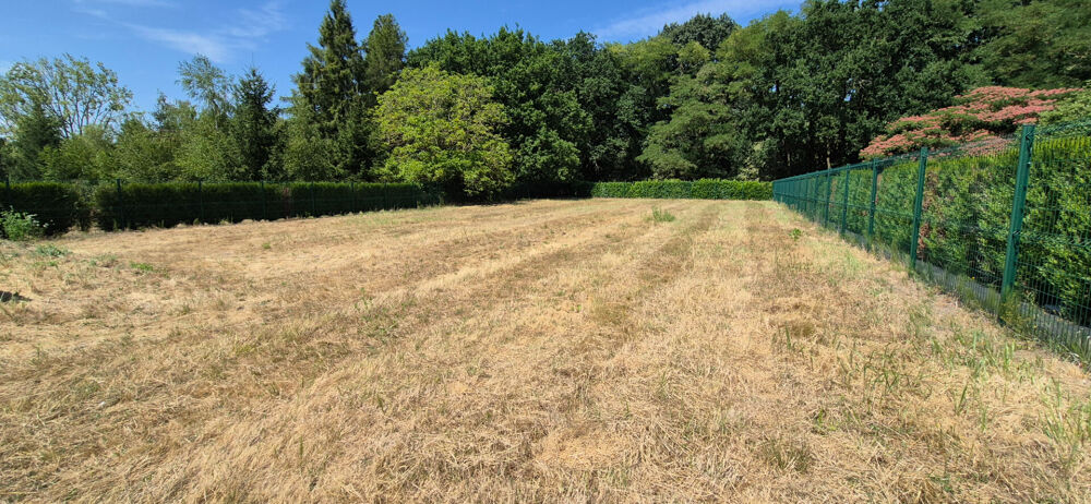 Vente Terrain Terrain Flines Lez Raches Flines lez raches