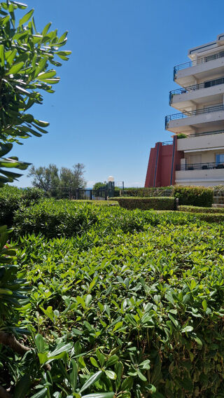  Appartement � vendre 3 pi�ces 33 m�