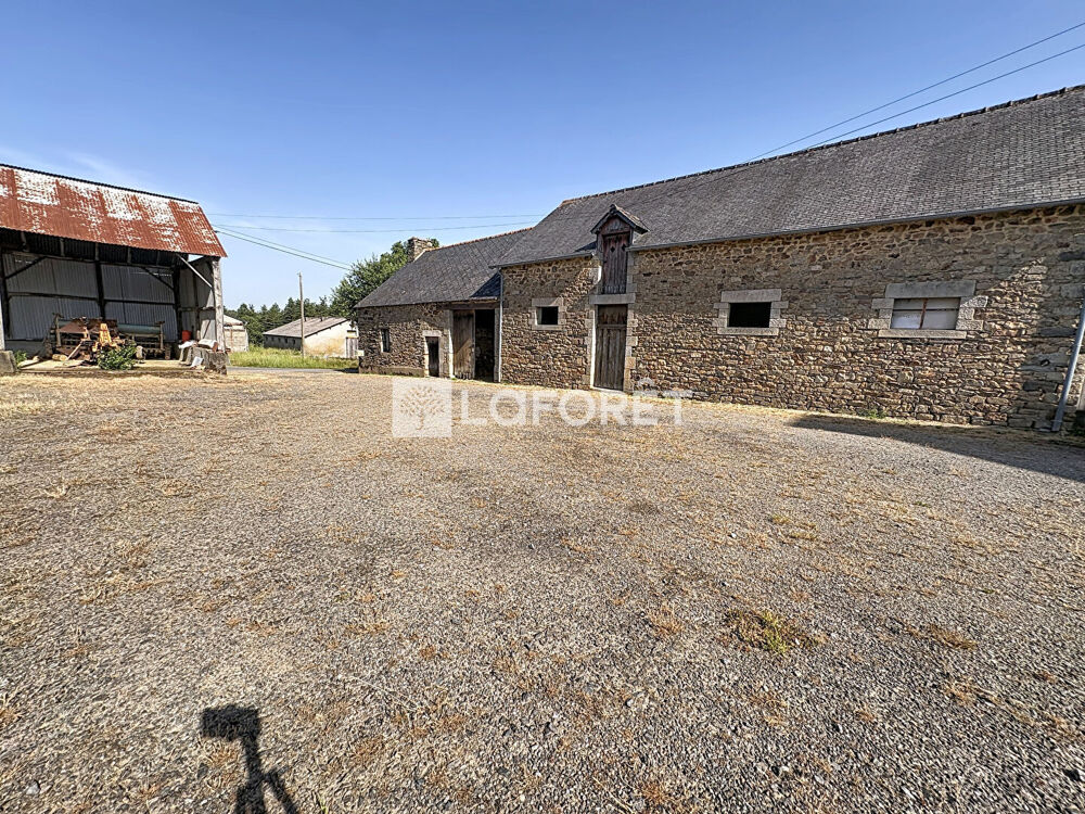 Maison Bains Sur Oust 7 pièce(s) 276 m2
