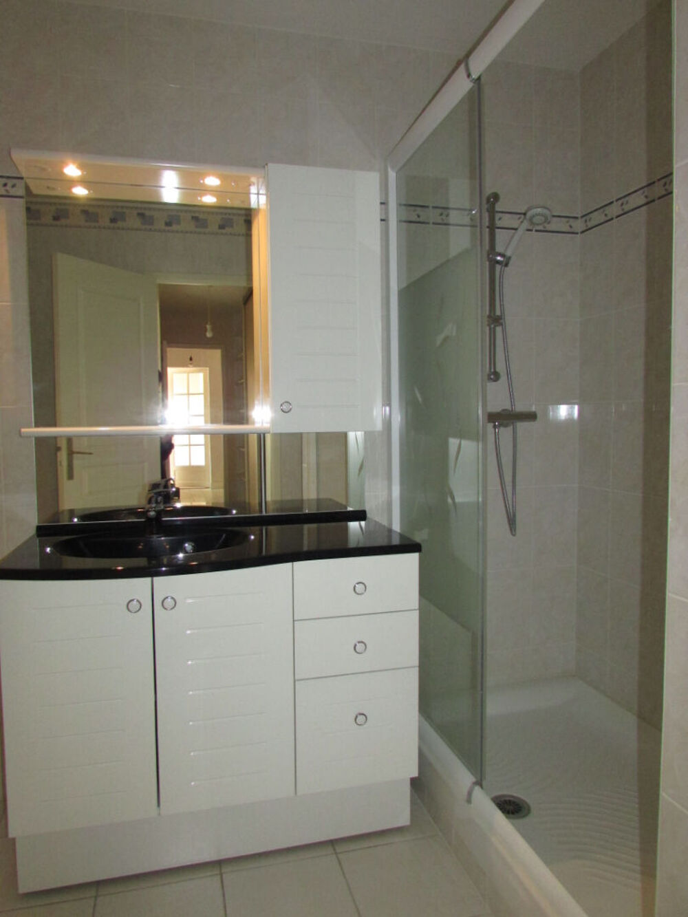 Location Appartement Appartement rénové Olivet 3 pièces avec balcon Olivet
