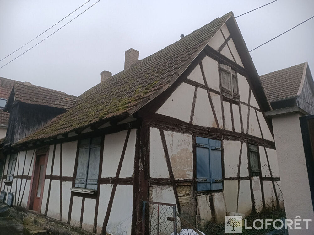 Vente Maison ENSEMBLE IMMOBILIER SCHAEFFERSHEIM : Schaeffersheim