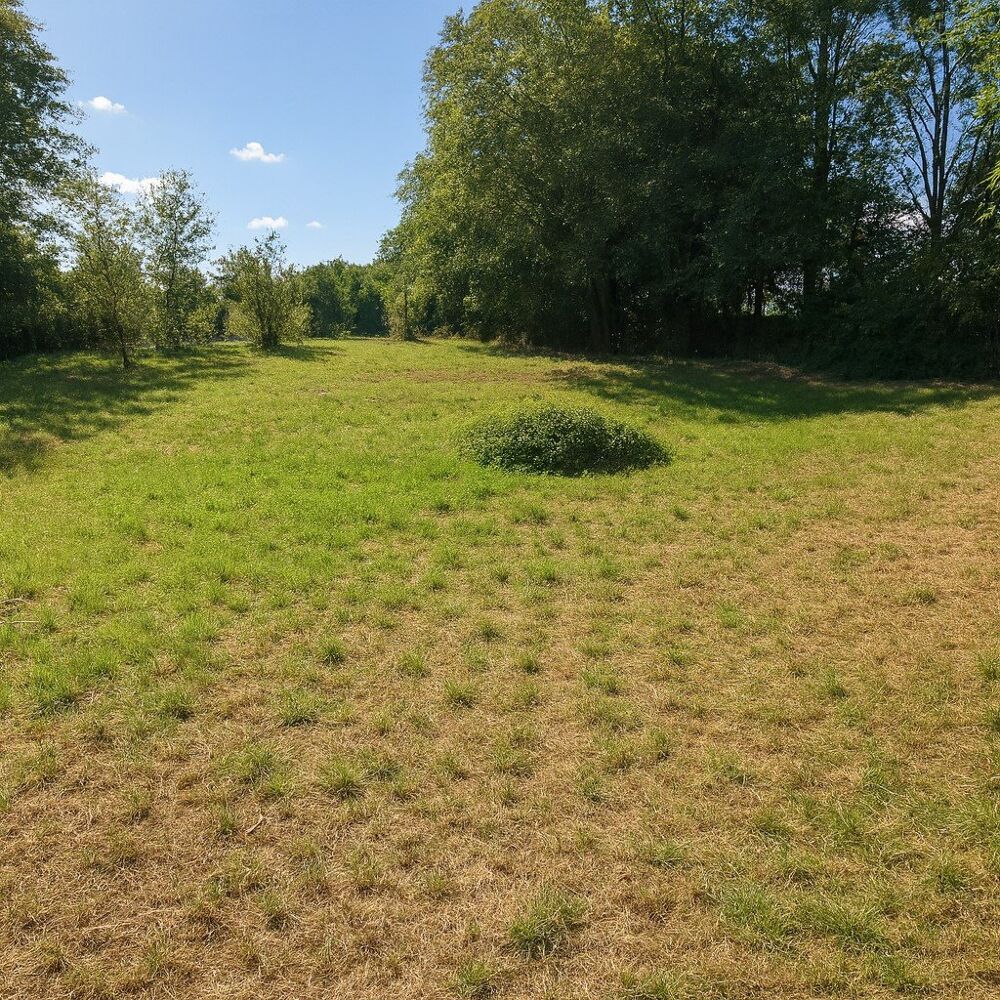 Vente Terrain Alloue - Beau terrain à construire Alloue