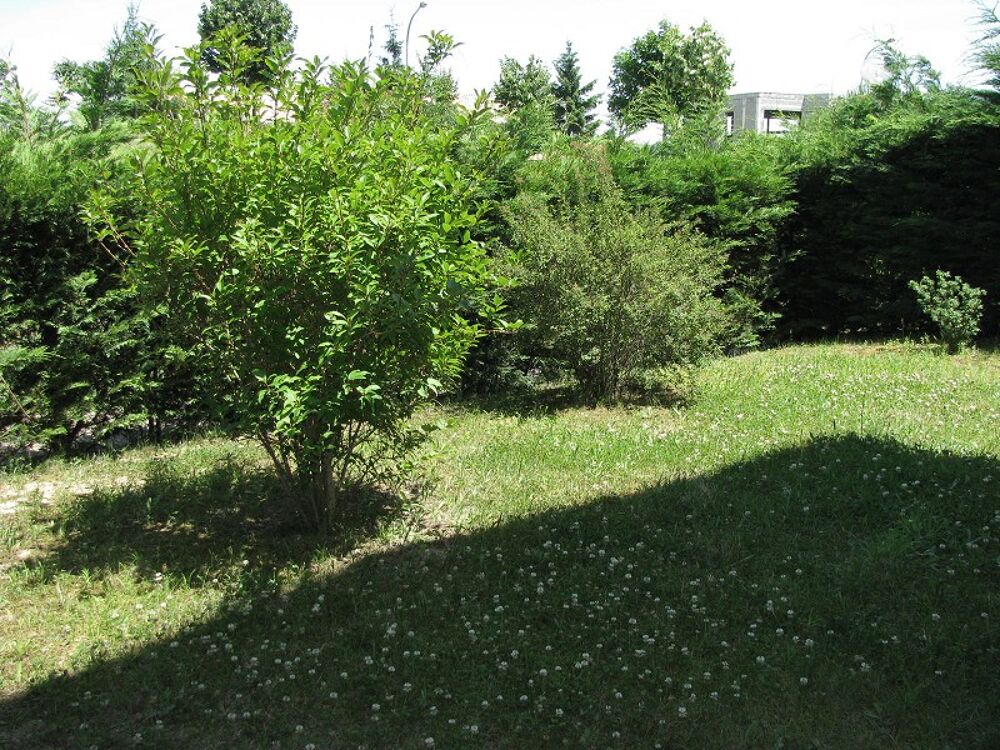 Location Appartement RAMONVILLE ST AGNE - Appartement T3 de 59 avec jardin et garage Ramonville saint agne