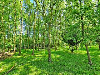  Terrain à vendre 6105 m²