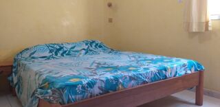  Maison � vendre 9 pi�ces 360 m� Niakh niakhal