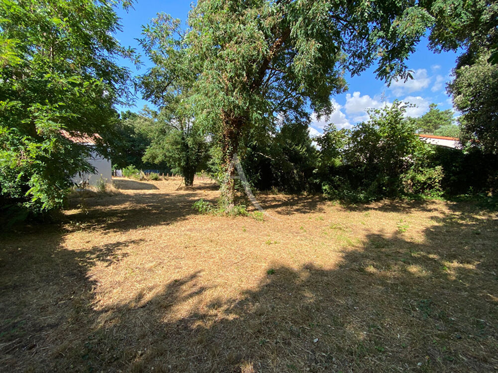 Vente Terrain Terrain Sous les Pins Longeville Sur Mer 493 m2 Longeville sur mer