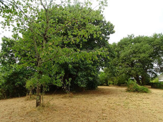 Vente Terrain Terrain Saint Medard De Mussidan 1865 m2 Saint medard de mussidan