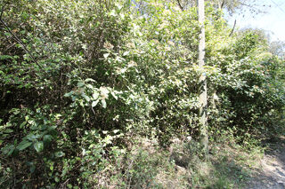  Terrain � vendre 5551 m�