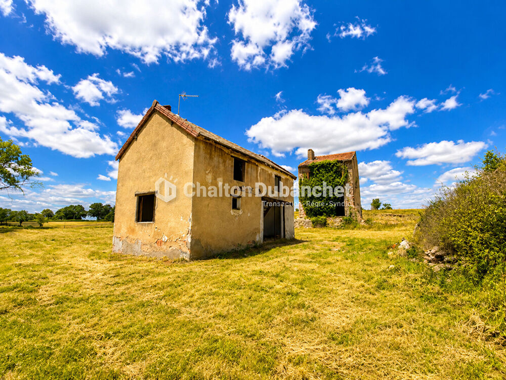 Vente Terrain Terrain de 4576 m²  avec deux bâtiments en ruine à MONTAIGUET EN FOREZ Montaiguet en forez