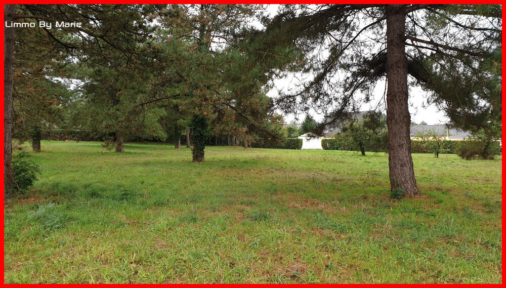 Vente Terrain Terrain Guemene Penfao 1840 m2 Guemene penfao
