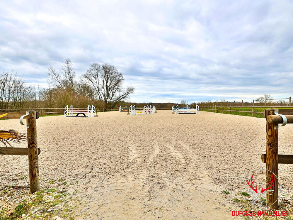Vente Maison Propriété équestre de 3,5 hectares Chatillon sur chalaronne