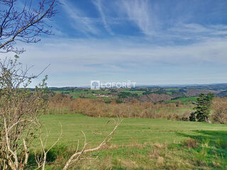  Terrain à vendre 3790 m²