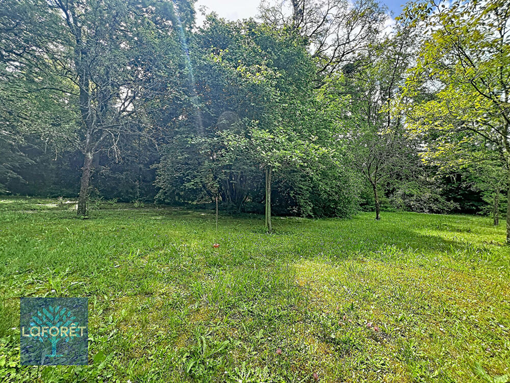 Vente Terrain Terrain Morsang Sur Seine 1613 m2 Morsang sur seine