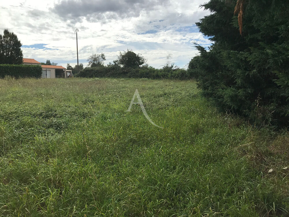 Vente Terrain Terrain à bâtir de 1 979 m² Pissotte