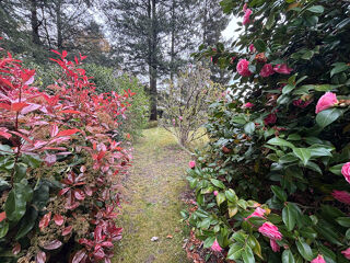  Maison � vendre 85 m�