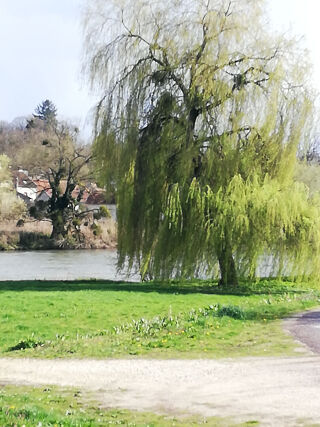  Maison � vendre 11 pi�ces 380 m�