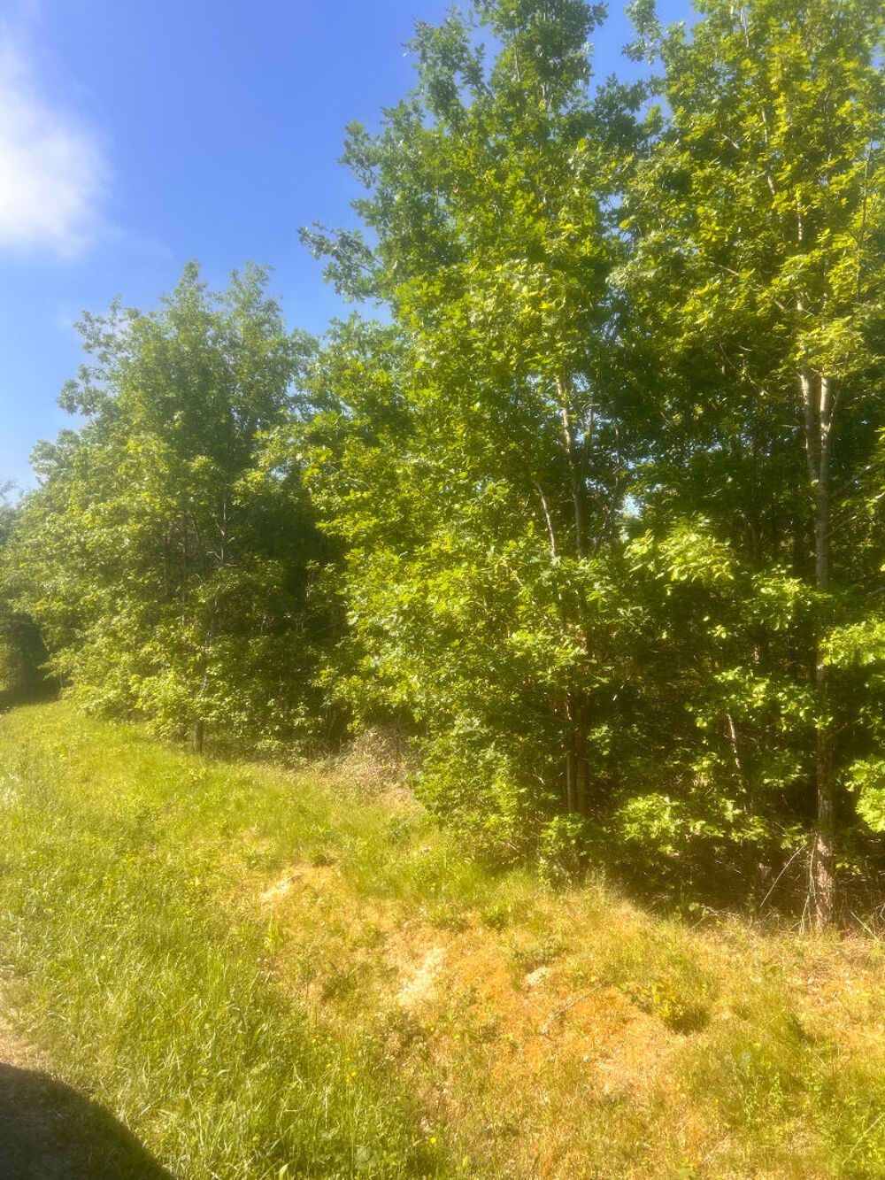 Vente Terrain Terrains nature avec fort potentiel Negrepelisse