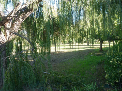  Appartement � louer 1 pi�ce 20 m�