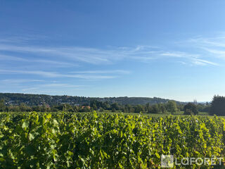  Terrain � vendre 446 m�