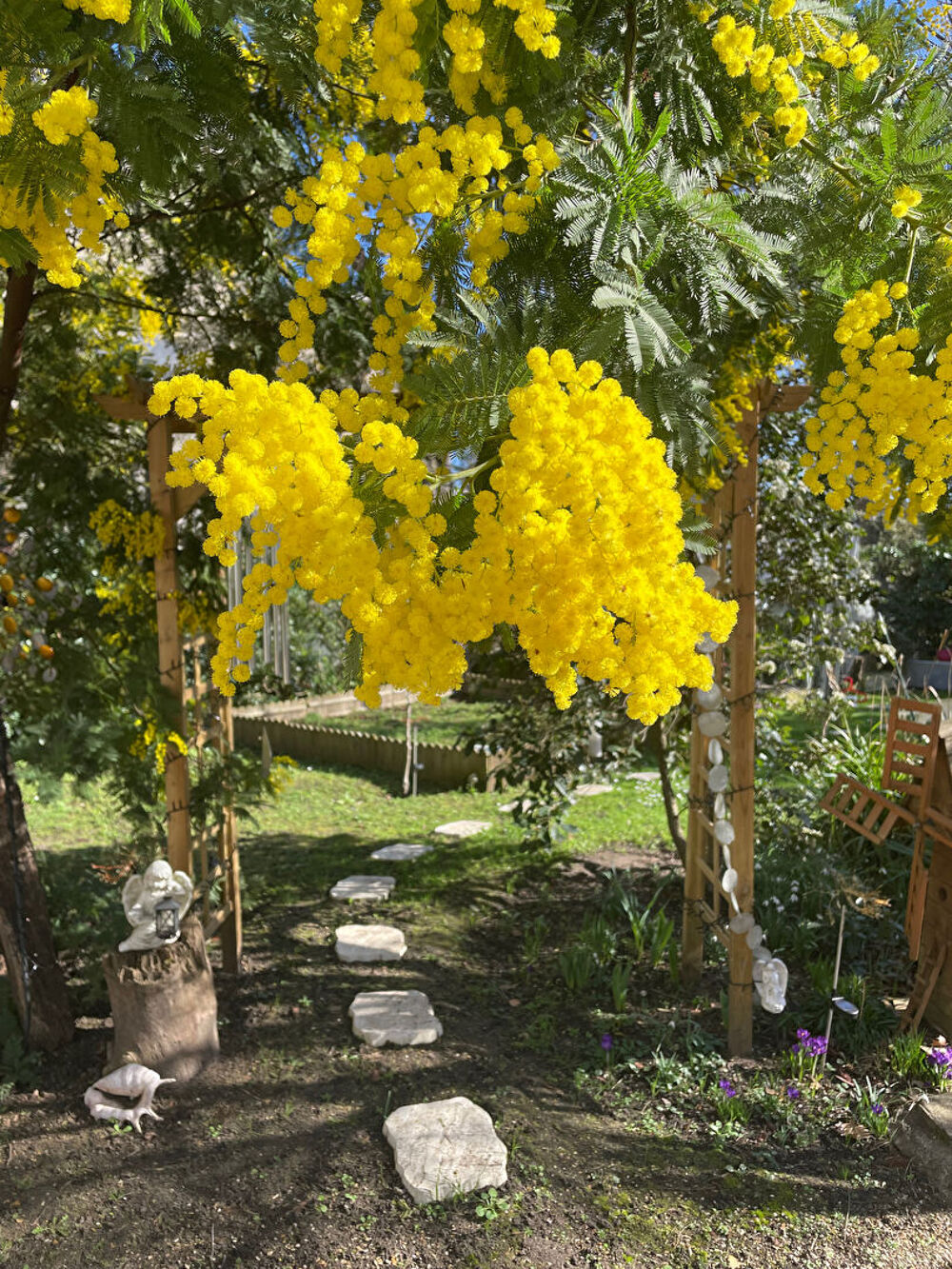 � vendre  Maison Maisons-Laffitte (78600)