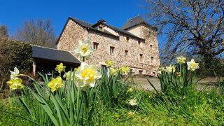 Villa à vendre 7 pièces 287 m²