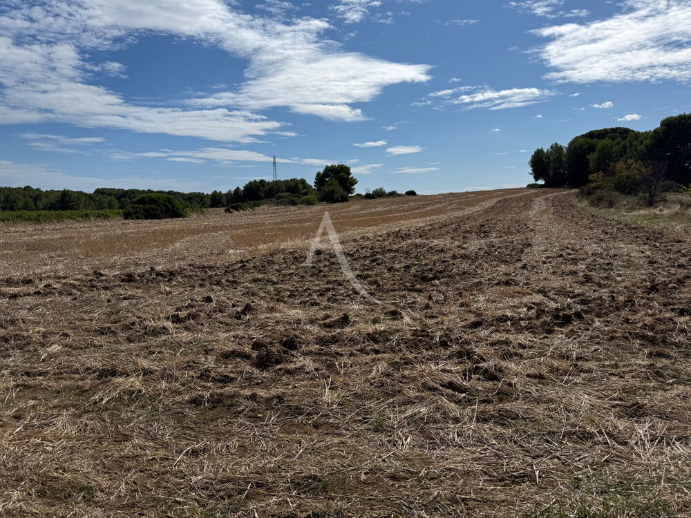 Vente Terrain Terrains agricoles de 22780m² entre MEZE et MONTAGNAC Montagnac