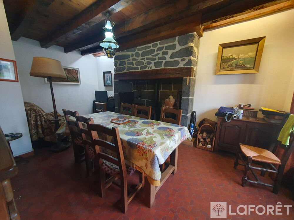 Vente Maison Ensemble immobilier composé de deux maisons mitoyennes Pierrefort Pierrefort