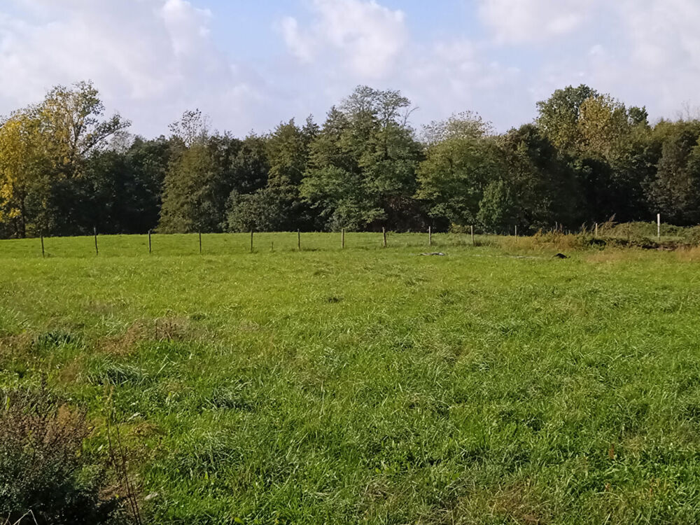 Vente Terrain A VENDRE TERRAIN À BATIR 1993 m2 VIABILISÉ VAL-DE-LIVENNE Val de livenne