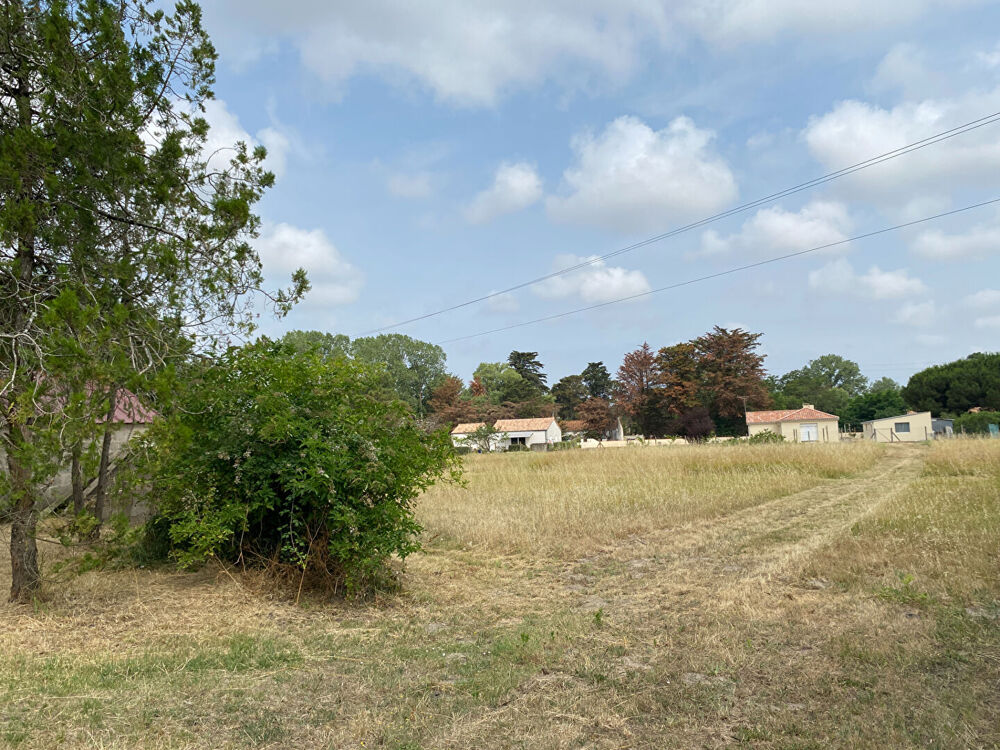 Vente Terrain Terrain Saint Hilaire De Riez (s) 1017 m2 Saint hilaire de riez