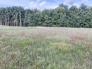  Terrain à vendre 800 m²