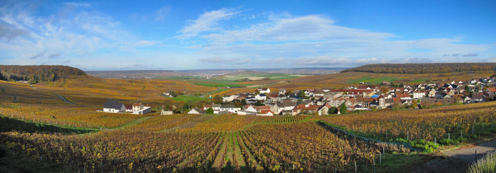 Vente Terrain Terrain à bâtir proche Jonchery Sur Vesle - vue sur la vallée / vignoble - 2100 m2 Jonchery sur vesle