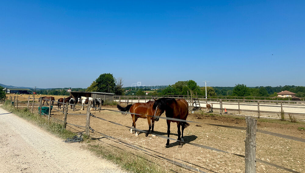 CENTRE EQUESTRE AVEC MANEGE COUVERT ET CABINET D'EQUITHERAPIE