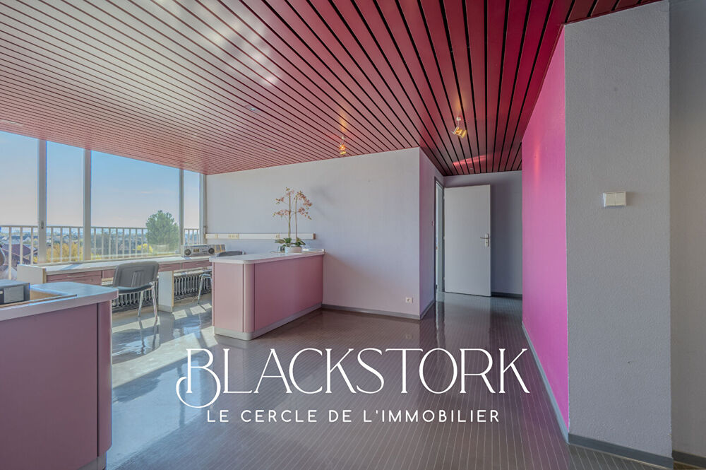   LOCAL PROFESSIONNEL - STRASBOURG ROBERSTAU - VUE DEGAGEE Strasbourg
