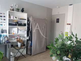  Appartement à louer 1 pièce 20 m²