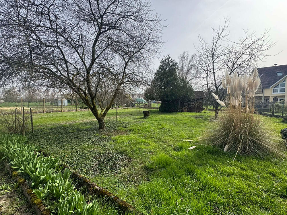 Vente Terrain SUPERBE TERRAIN GUNDOLSHEIM Gundolsheim